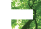 Forest Design